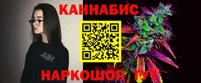 сатива Шелехов