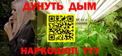 сатива Шелехов